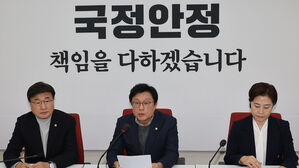 여, '외환죄 &middot; 내란 선전선동' 삭제한 자체 특검법 초안 준비