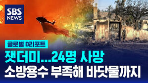 [글로벌D리포트] LA 산불 사망자 24명으로 늘어&hellip;돌풍 예고에 비상