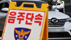 음주운전 단속(사진=연합뉴스)