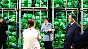 송미령 장관, 겨울 배추 공급 및 저장 동향 점검(사진=농림축산식품부 제공, 연합뉴스)