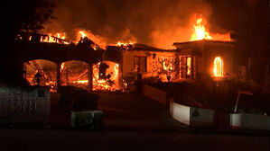 '31명 희생' LA 산불…"재난경보 알림 체계 부실"