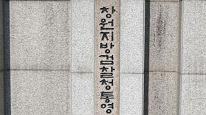 '음주 역주행&middot;비접촉 사고 후 모친이 운전' 자백 요구 20대 기소