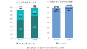 대기업 오너 4명 중 1명, '법적 책임' 등기임원 안맡아