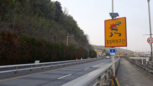 도로 결빙에 노원구서 차량 18대 추돌&hellip;서울 곳곳 사고 속출