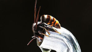 한 해 10명 이상 심정지…"나이와 상관 없다" 경고, 무슨 일