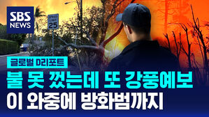 [글로벌D리포트] LA 산불 24시간 내 또 강풍&hellip;이 와중에 방화범까지