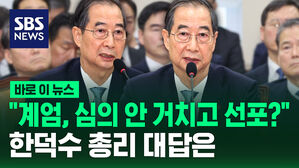 [바로이뉴스] "계엄, 심의 안 거치고 선포?"&hellip;한덕수 총리 대답은
