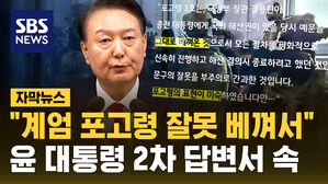 [자막뉴스] 윤 대통령 헌재 2차 답변서 "계엄 포고령은 부주의로 베껴온 것"