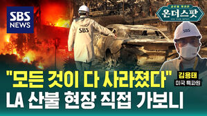 "모든 것이 다 사라졌다" LA 산불 현장 직접 가보니