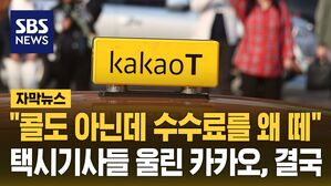 [자막뉴스] "콜도 아닌데 수수료를 왜 떼!" 택시기사들 울린 카카오, 결국