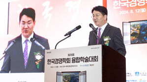 조원태 대한항공 회장(사진=대한항공 제공, 연합뉴스)