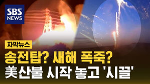 [자막뉴스] 송전탑? 새해 폭죽?&hellip;산불 시작 놓고 '시끌'