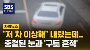 [자막뉴스] "저 차 이상해" 내렸는데&hellip;충혈된 눈과 '구토 흔적'