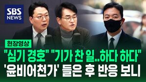 [영상] "기가 찰 일" "북한 정도 아니면 안 되는 정신세계"&hellip;'윤비어천가' 들은 정치권 반응은?