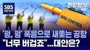 현장탐사 디테일 제주항공 여객기 참사