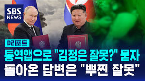 D리포트 북한군