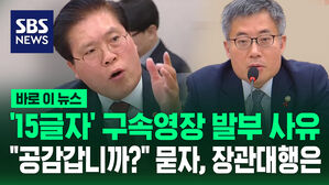 [바로이뉴스] '15글자' 구속영장 발부 사유 "공감 갑니까?" 묻자, 장관대행은