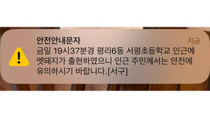 대구 서구에 멧돼지 출몰&hellip;30여 분 만에 사살