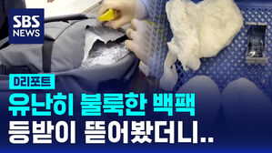 [D리포트] 불룩한 백팩 등받이 뜯어봤더니&hellip;