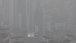 "미세먼지 노출이 신장암&middot;전립선암 발병 위험 높여"