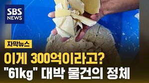 [자막뉴스] 이게 300억 원이라고? '61kg' 대박 노리려다&hellip;