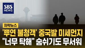 [자막뉴스] '뿌연 불청객' 중국발 미세먼지&hellip;"너무 탁해" 숨쉬기도 무서워