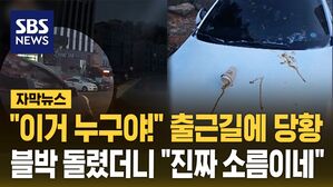 [자막뉴스] "이거 누구야!" 출근길에 당황&hellip;블박 돌렸더니 "진짜 소름"