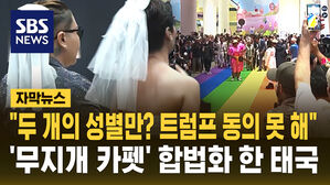 [자막뉴스] "두 개의 성별만? 트럼프 동의 못 해"&hellip;'무지개 카펫' 합법화 한 태국