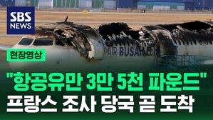 [현장영상] "항공유만 3만 5천 파운드"&hellip;오후엔 프랑스 조사 당국 도착