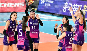 '4연승' 흥국생명, 정관장 14연승 저지하고 여자배구 1위 질주