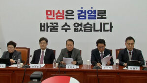 "내란 동조세력 자인"&hellip;"헌정질서 위한 결단"