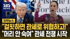 [자막뉴스] "걸핏하면 관세로 위협하면 안 돼" 트럼프 관세에 반발한 중국&hellip;캐나다&middot;멕시코도 "강경 대응"