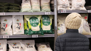 하동쌀, 일본 식탁에 오른다&hellip;80t 첫 수출 선적식