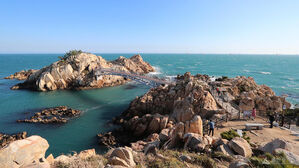 문체부, 올해 반려동물 친화관광도시에 익산&middot;경주 선정