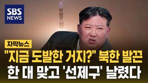 [자막뉴스] "지금 도발한 거지?" 북한 발끈&hellip;한 대 맞고 '선제구' 날렸다
