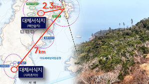 공항 코앞에 조류 대체 서식지&hellip;"새 떼 불러 모으는 꼴" [스프]