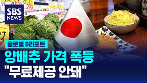 [글로벌D리포트] 양배추 가격 폭등&hellip;"무료 제공 안 돼"