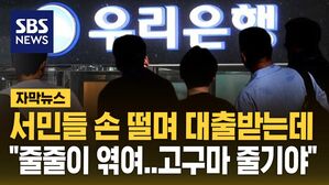 [자막뉴스] 서민들은 손 떨며 대출받는데 "줄줄이 엮여..고구마 줄기야"