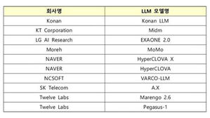 딥시크 노리는 'K-AI 모델'은?&hellip;네이버 &middot; LG &middot; 트웰브랩스 등 꼽혀