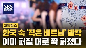 [자막뉴스] "방으로 되어 있고..안에서 뭐 하는지 모르죠" 한국 속 '작은 베트남' 발칵