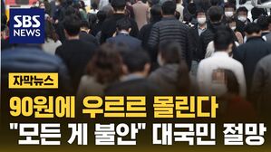 [자막뉴스] 90원에 우르르 몰린다&hellip;"모든 게 불안" 대국민 절망