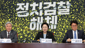 발언하는 김선민 당 대표 권한대행(사진=연합뉴스)