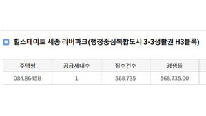 '줍줍 막차' 세종 아파트 무순위 1가구 모집에 57만 명 몰려