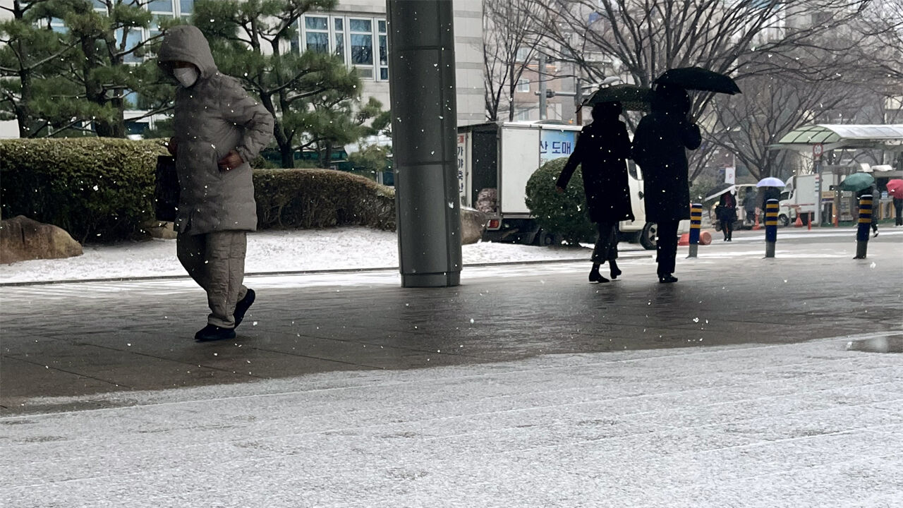 7일 오전 부산시 연제구 부산경찰청 앞에 눈이 내리고 있다.(사진=연합뉴스)