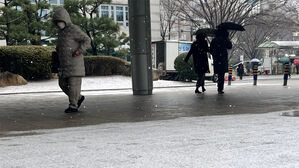 7일 오전 부산시 연제구 부산경찰청 앞에 눈이 내리고 있다.(사진=연합뉴스)
