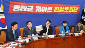 명태균게이트 진상조사단 회의서 발언하는 염태영 의원(사진=연합뉴스)