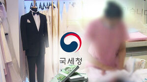 현금 결제 유도&hellip;'스드메'&middot;영어유치원 등 세무조사