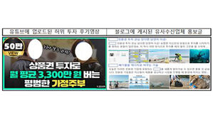 금감원, 유사수신 35곳 수사 의뢰&hellip;"고수익&middot;원금 보장 표현 조심"