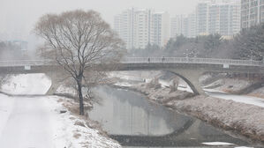 인천·수원 등 경기 일부 지역 대설주의보 발효