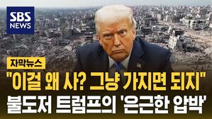 [자막뉴스] "이걸 왜 사? 그냥 가지면 되지"&hellip;불도저 트럼프의 '은근한 압박'
